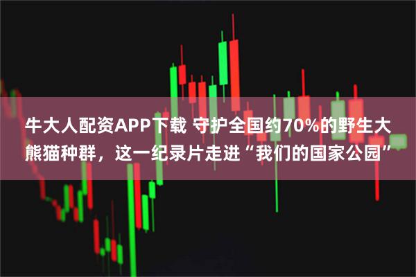 牛大人配资APP下载 守护全国约70%的野生大熊猫种群，这一纪录片走进“我们的国家公园”