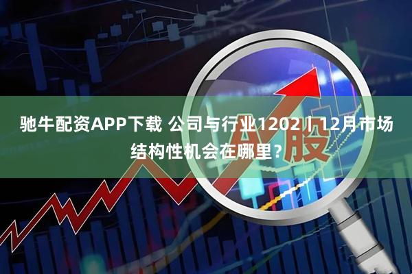 驰牛配资APP下载 公司与行业1202丨12月市场结构性机会在哪里？