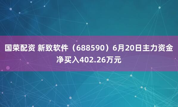 国荣配资 新致软件（688590）6月20日主力资金净买入402.26万元