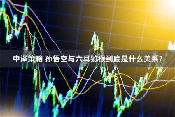 中泽策略 孙悟空与六耳猕猴到底是什么关系？